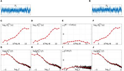 Revisiting Functional Connectivity for Infraslow <mark class="highlighted">Scale-Free</mark> Brain Dynamics Using Complex Wavelets